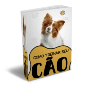 Como Treinar seu Cão