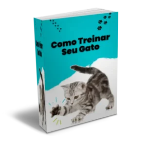 Como Treinar seu Gato