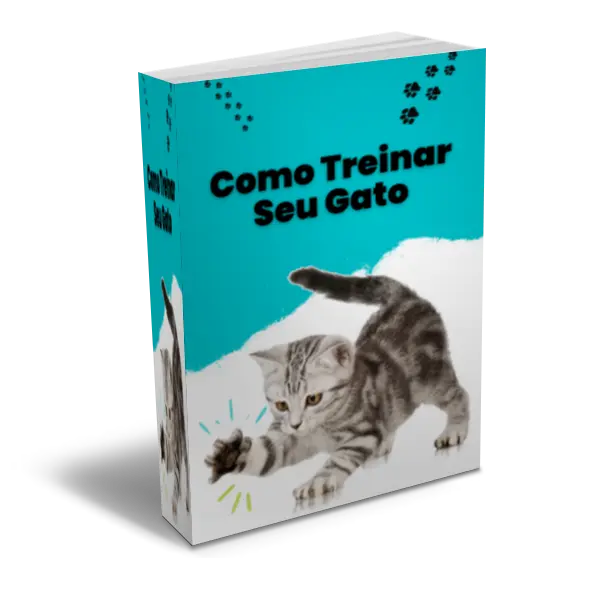 Como Treinar seu Gato