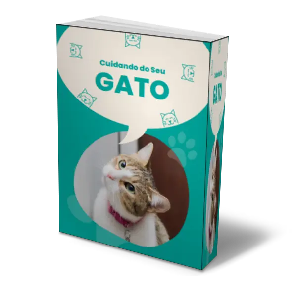Cuidando do seu Gato